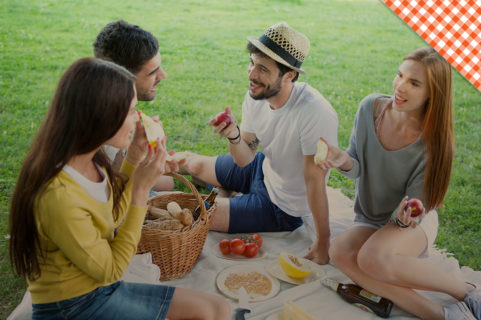 picnic family
